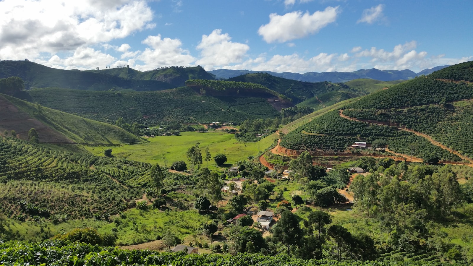 A coffee farm valley in the mountains