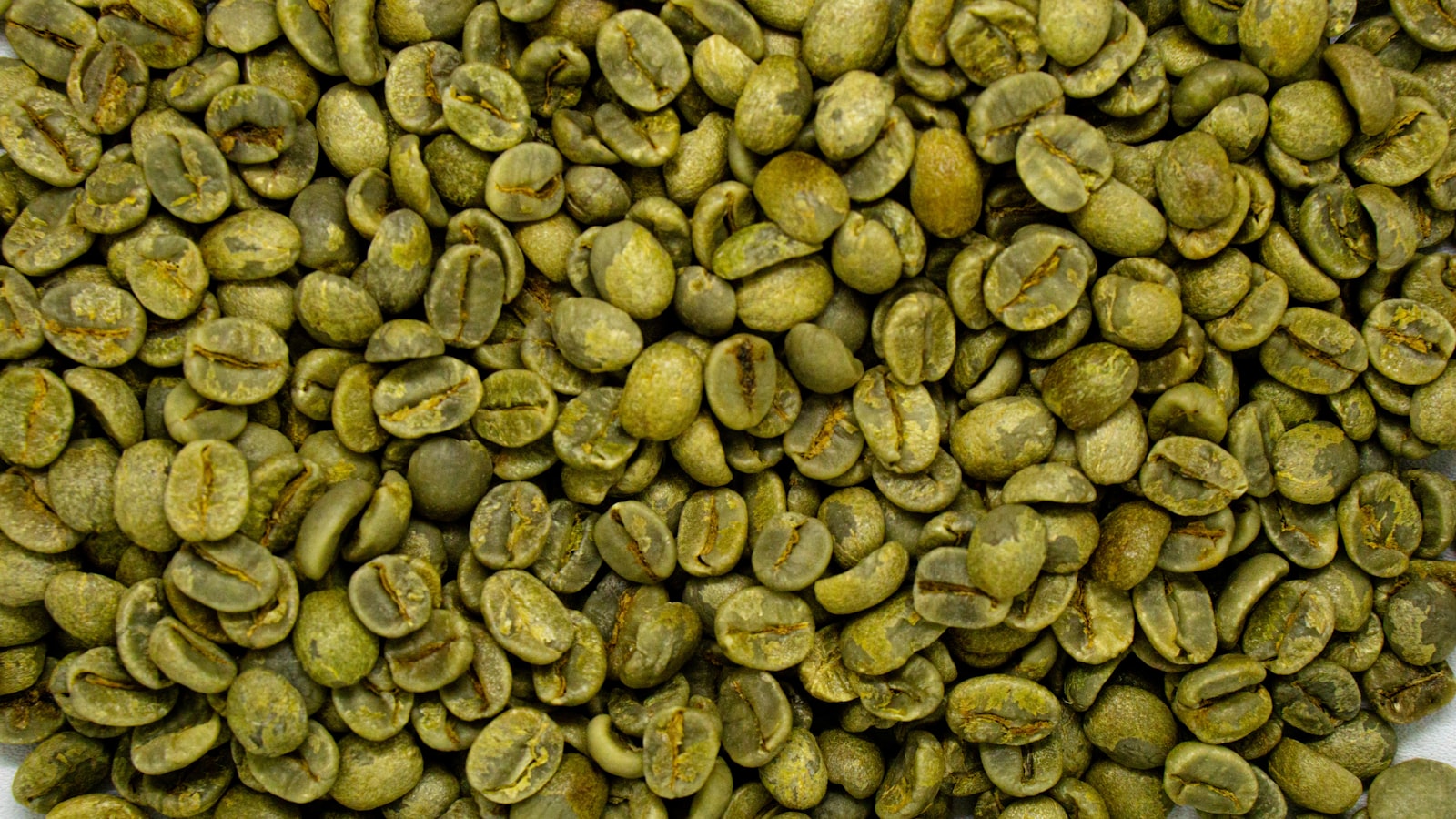 A rich pile of unroasted green coffee beans